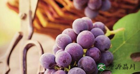 吃葡萄吃多了会上火吗 吃葡萄吃多了会上火吗
