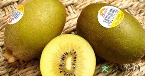 奇异果吃多了会上火吗 奇异果吃多了会上火吗