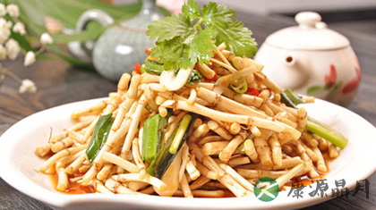 鱼腥草可以减肥吗