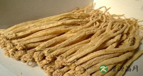 美尔斯综合症怎么治疗