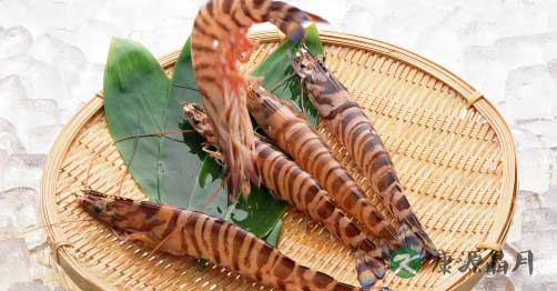 经常喷驱蚊液可能引发癌症 经常喷驱蚊液可能引发癌症