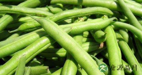四季豆食物中毒怎么办