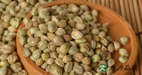 紫苏可以常喝吗