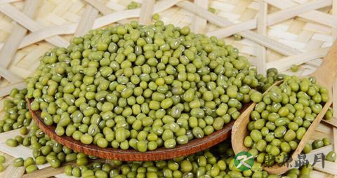 喝中药不能吃什么豆