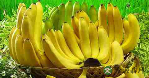 睡眠不足能减肥吗