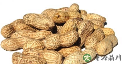 多吃花生好处多 花生泡醋降血脂