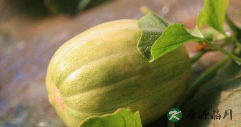 头晕恶心还浑身无力是怎么回事 头晕恶心还浑身无力是怎么回事