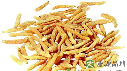 麦冬有什么功效和作用