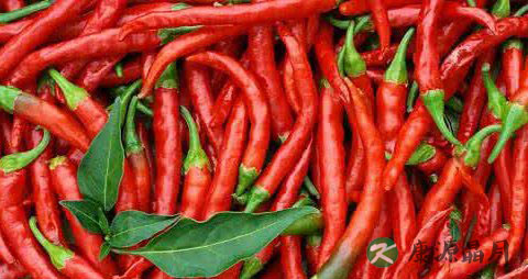 孕妇可以用紫苏水泡脚吗