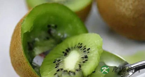 奇异果吃多了会上火吗 奇异果吃多了会上火吗