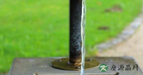 食物中毒怎么会肚子痛