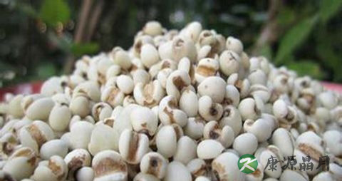 齿痕舌怎么调理