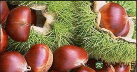 口疮怎么治 口疮怎么治