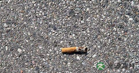 喝白罗卜水冶鼻炎吗
