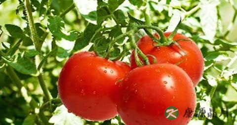 皮肤病治疗方法