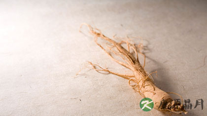 冬季养生 冬天吃人参好吗