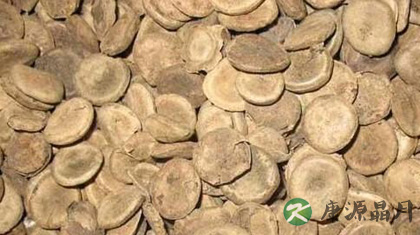 活血疗伤的中药有哪些