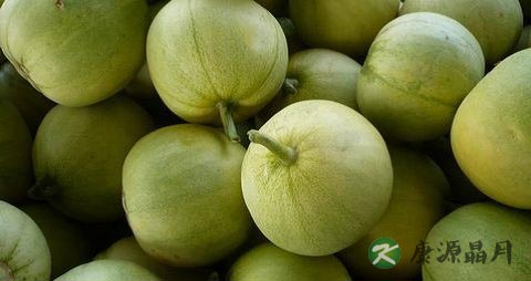 甜瓜吃多了会上火吗