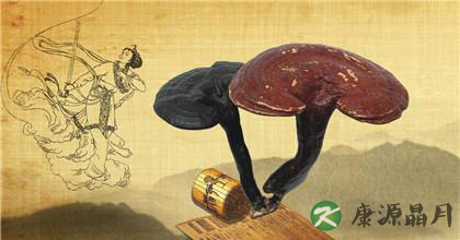 灵芝的那些知道或不知道的功效