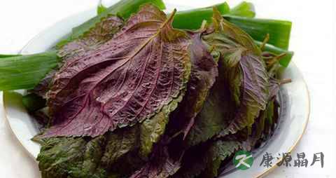 紫苏叶治水肿吗