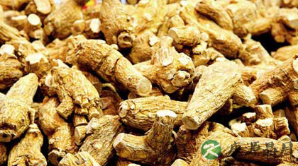 西洋参泡水喝的禁忌