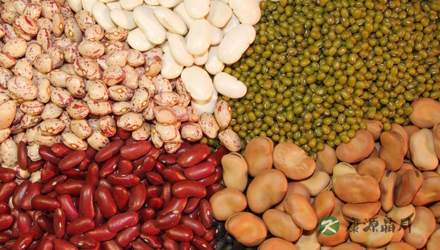 哮喘病人要远离这些食物