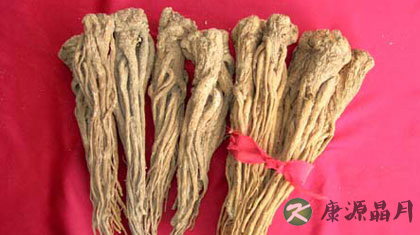 当归的功效与作用介绍