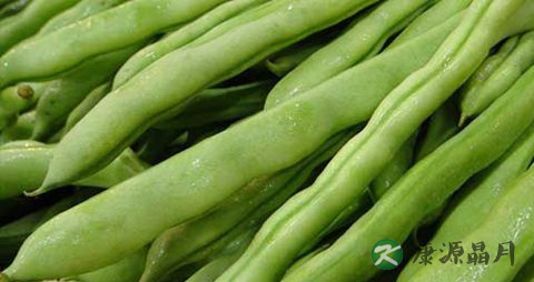 四季豆食物中毒怎么办