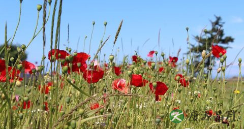 煎中药水放太多了要全部喝完吗