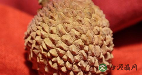 荔枝干吃多了会上火吗 荔枝干吃多了会上火吗