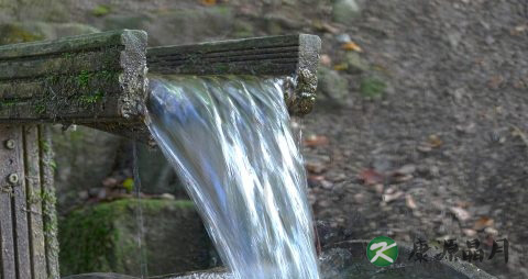 尿有泡沫是怎么回事