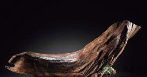 沉香的功效与作用