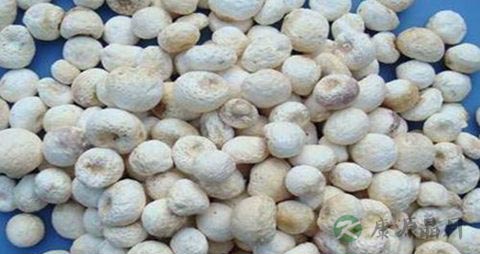 法夏的药用价值_法夏的副作用