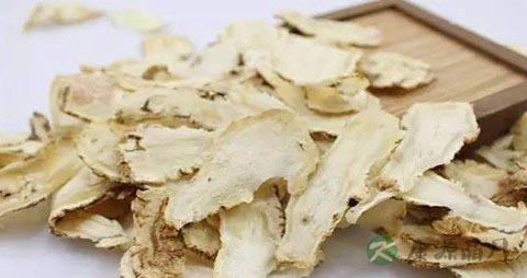 独活的功效与作用