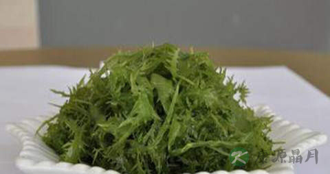 鸡冠菜的功效与作用
