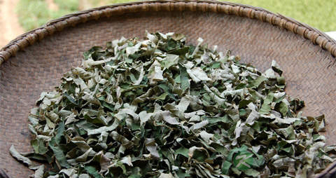 荷叶茶功效