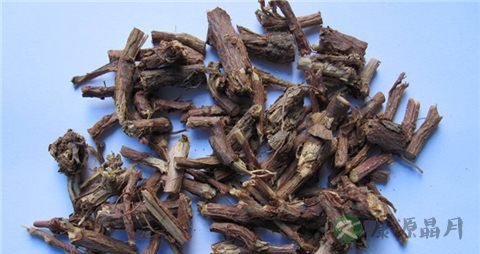 麻黄根的药用价值_麻黄根的副作用