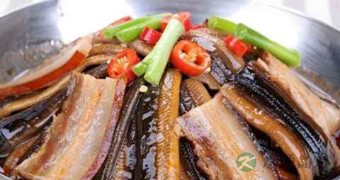 风湿病吃人参好吗