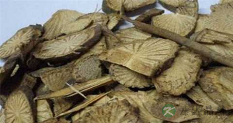 丁公藤的功效与作用
