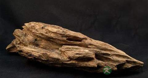 沉香的功效与作用