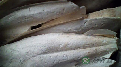 海螵蛸的功效与作用_海螵蛸的药用价值