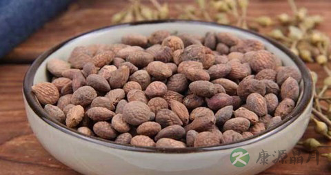蕤仁的药用价值_蕤仁的副作用
