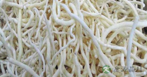 通草的功效与作用