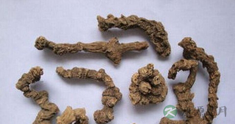 竹节参的药用价值_竹节参的副作用