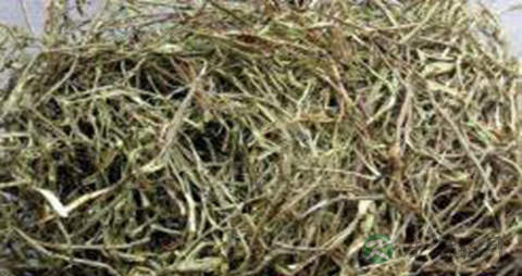 白柳的功效与作用