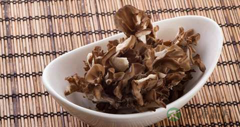 灰树花的药用价值_灰树花的副作用