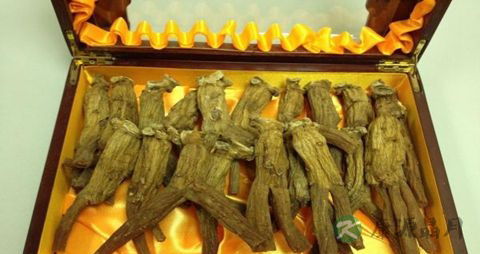 高丽参粉的功效