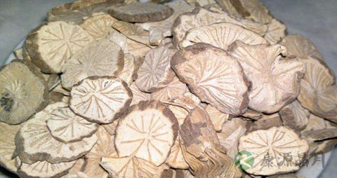 木防己的药用价值_木防己的副作用