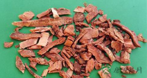 土槿皮的药用价值_土槿皮的副作用