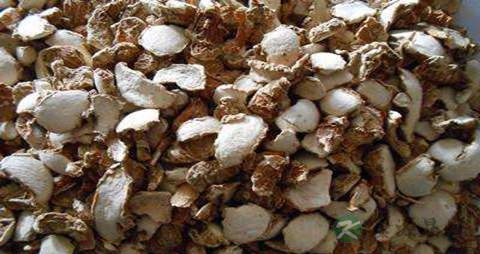 山柰的药用价值_山柰的副作用